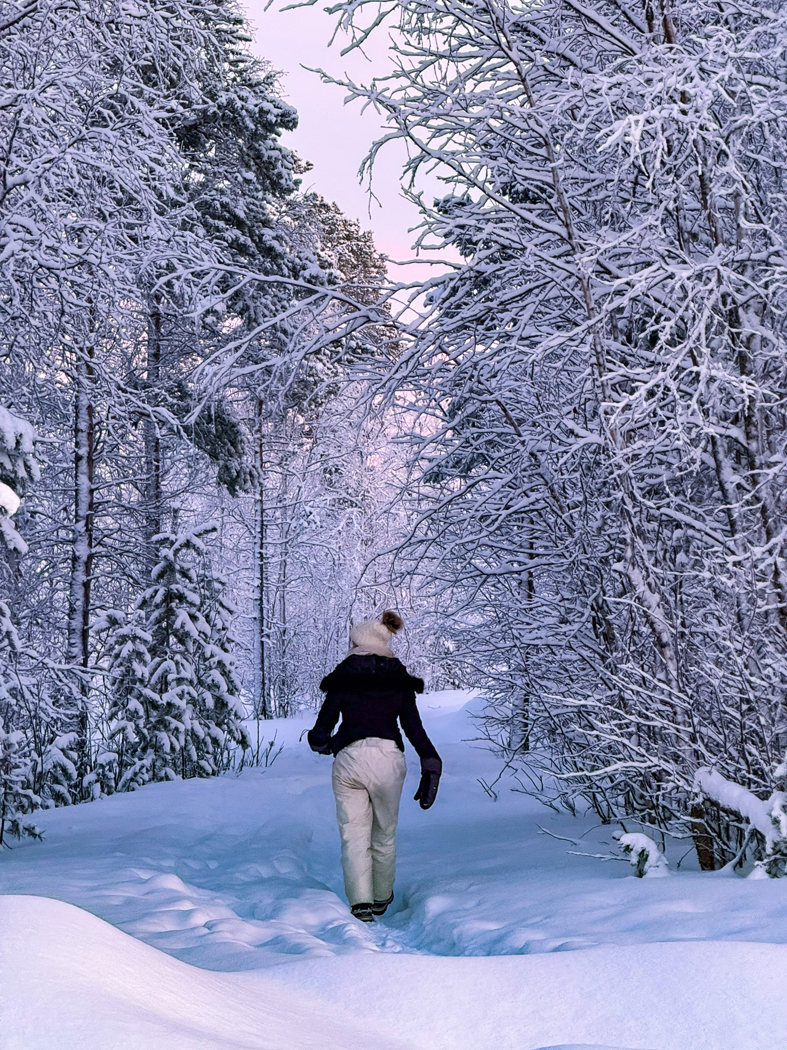 Une personne avance sur un sentier entre les arbres enneigés de Målselv